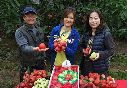 2025/12/28蓮霧季開跑~ 蜜彩彩色蓮霧禮盒限量預購