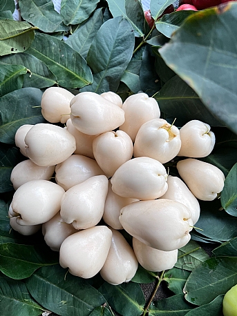 Single product image