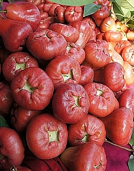 Single product image