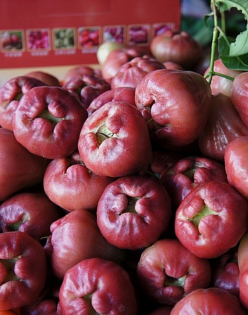 Single product image