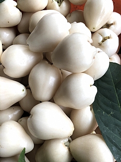 白晶蓮霧(手提禮盒)4斤半