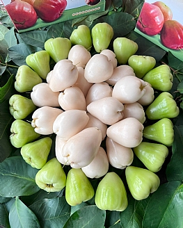 雙白蓮霧(手提禮盒)4斤半